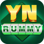 ynlogo2650422812581485546